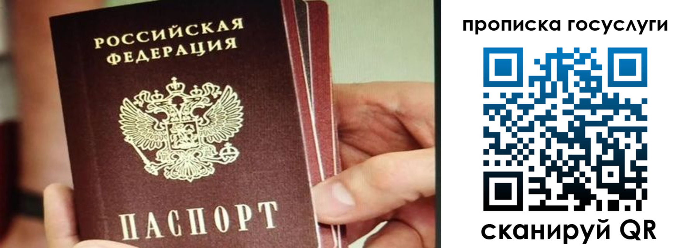 пропишу в квартире в Кингисеппе